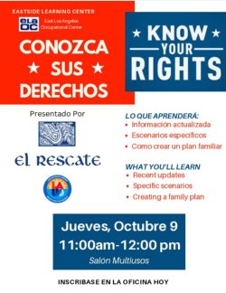 Know Your  Rights Workshop